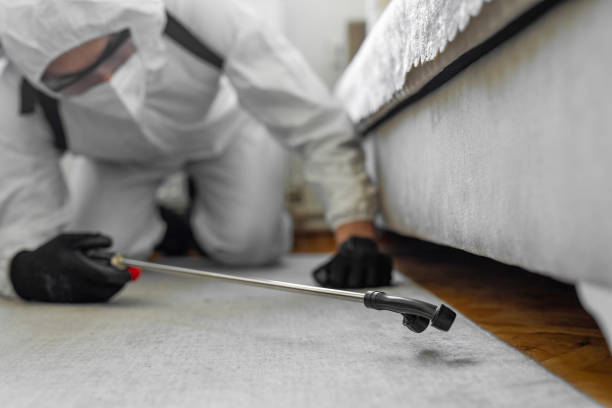 Professional Bed Bug Control technician working in Erath County County, TX